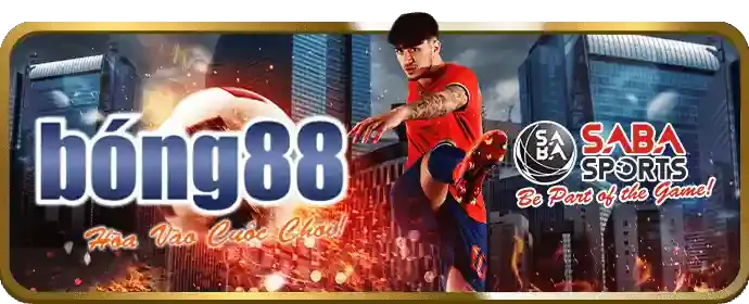 Nền tảng cá cược đá gà an toàn WM88